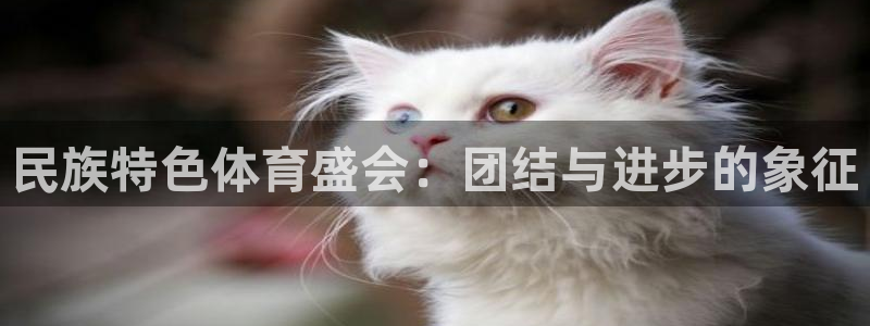 必一运动：民族特色体育盛会：团结与进步的象征