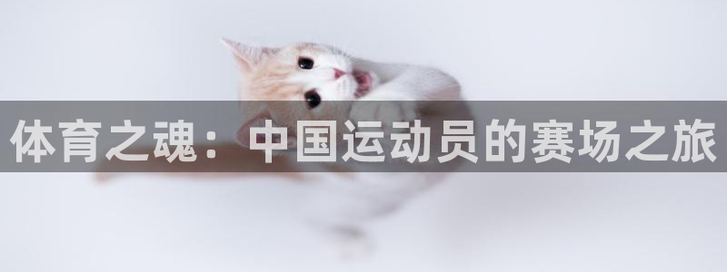 必一运动官网：体育之魂：中国运动员的赛场之旅