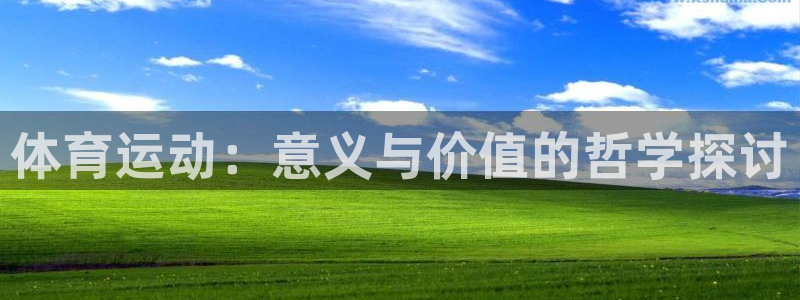 必一运动：体育运动：意义与价值的哲学探讨