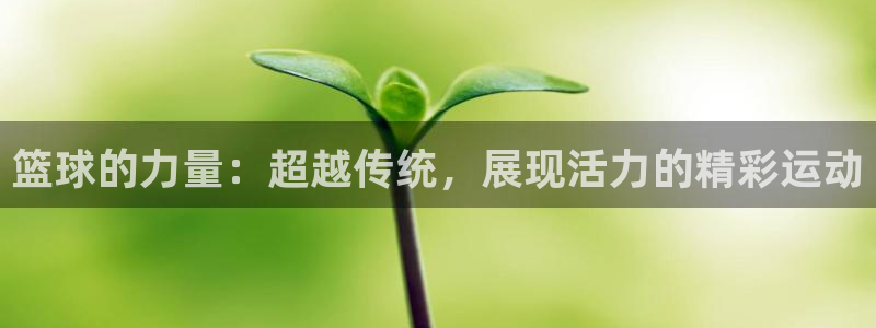 必一运动官网：篮球的力量：超越传统，展现活力的精彩运动
