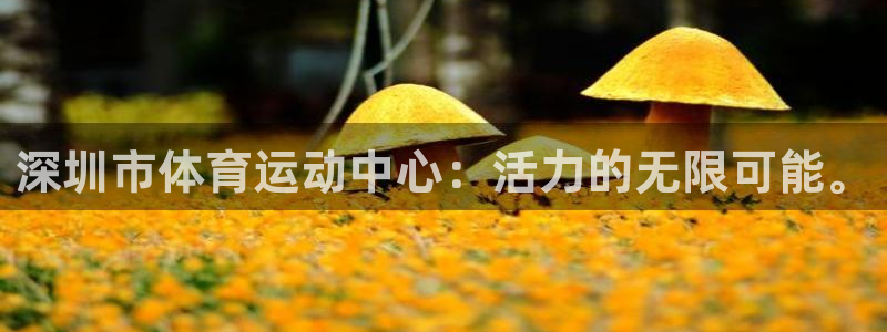 必一运动体育：深圳市体育运动中心：活力的无限可能。