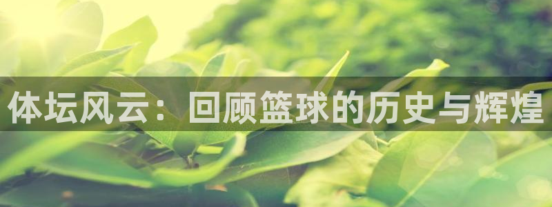 bsports必一运动：体坛风云：回顾篮球的历史与辉煌