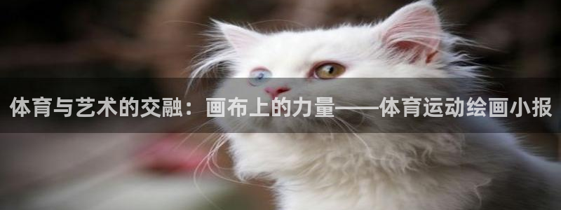 必一运动bsport体育：体育与艺术的交融：画布上的力量——体育运动绘画小报