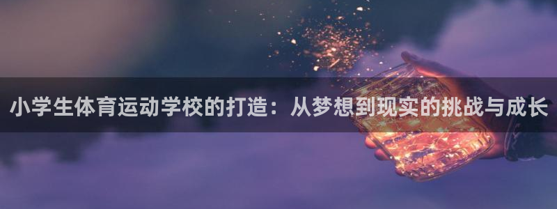 必一运动bsport体育：小学生体育运动学校的打造：从梦想到现实的挑战与成长