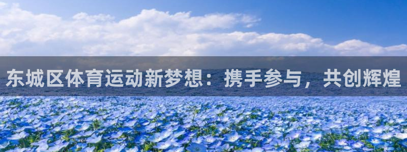 必一运动体育官网：东城区体育运动新梦想：携手参与，共创辉煌